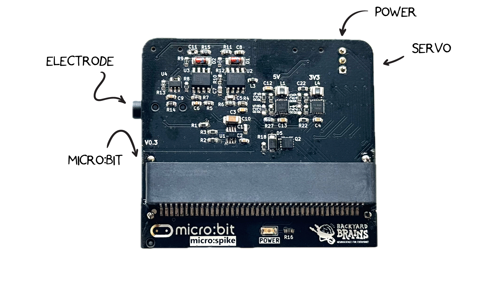 NeuroBit Top