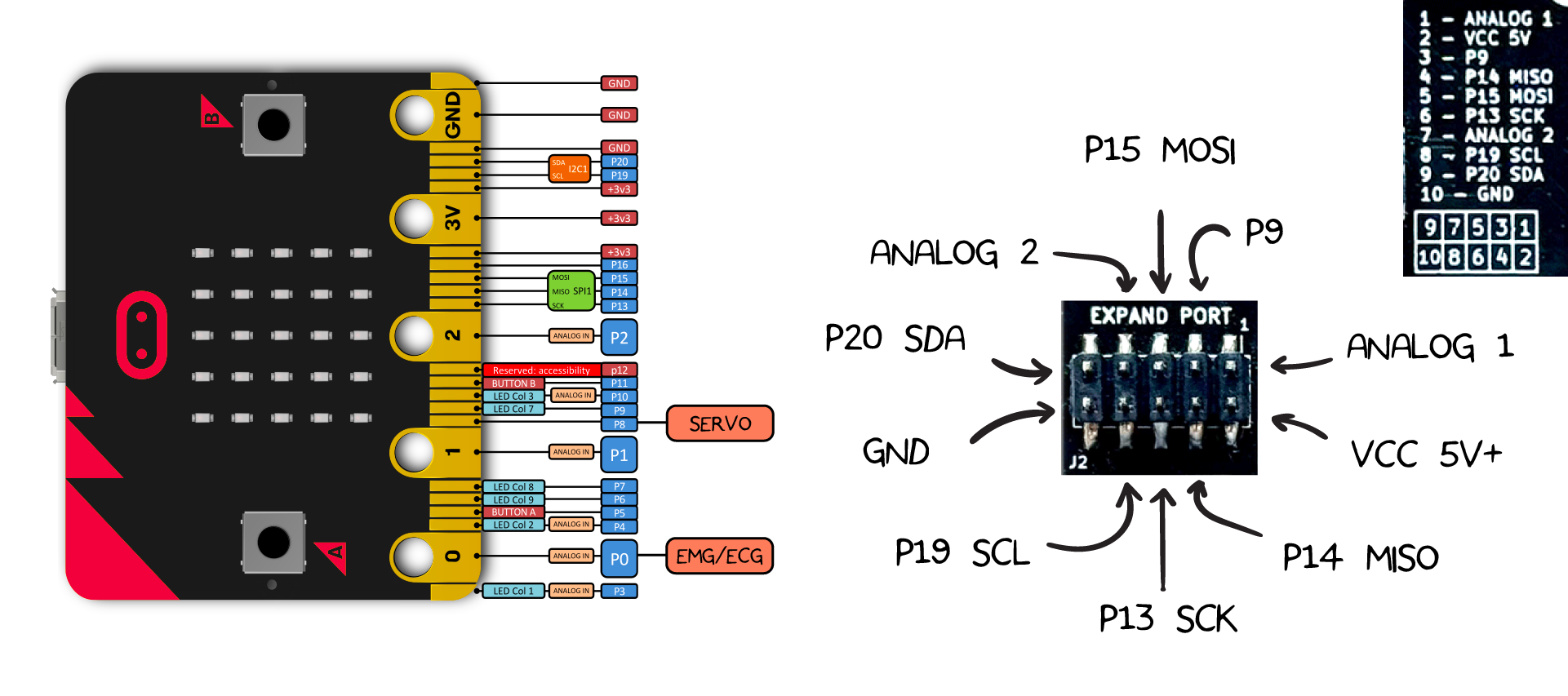 NeuroBit Pin Out