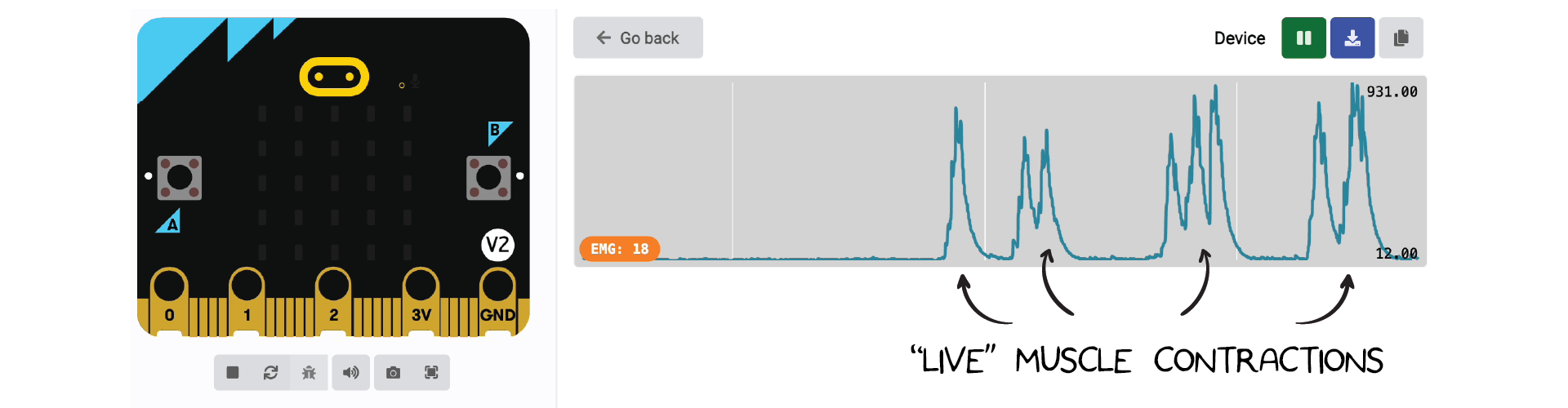 EMG Values in Action