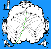 Brain: Tracker
