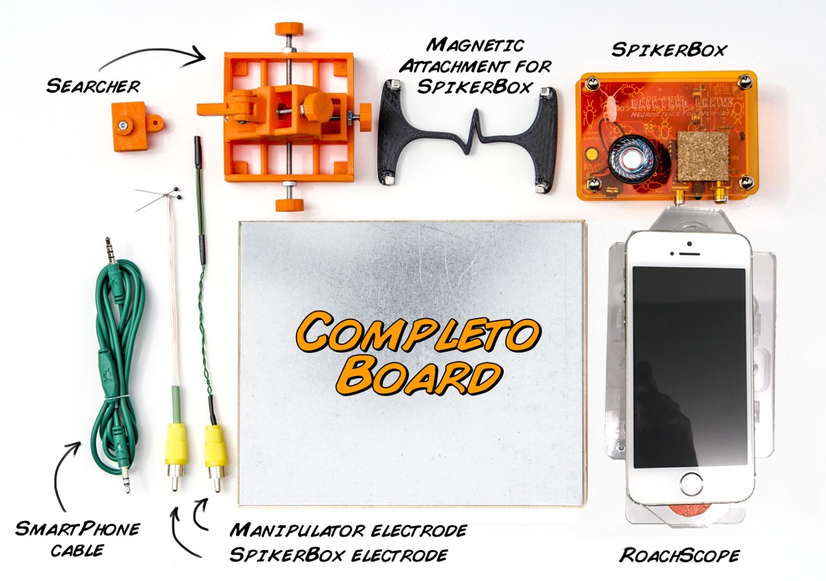 The Completo Illustrated Layout