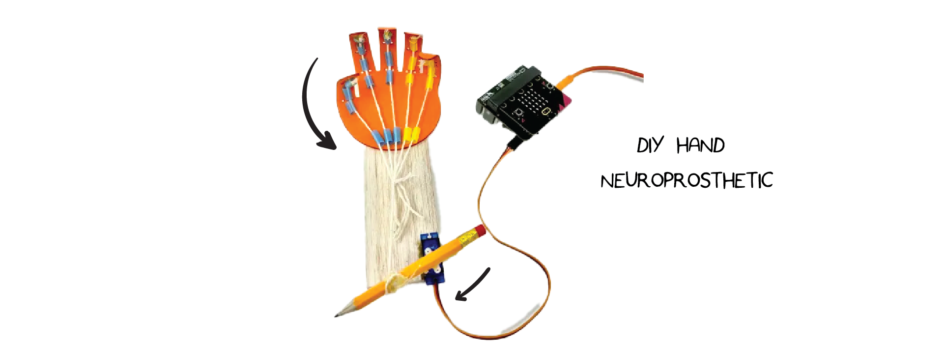 DIY Hand Neuroprosthetic