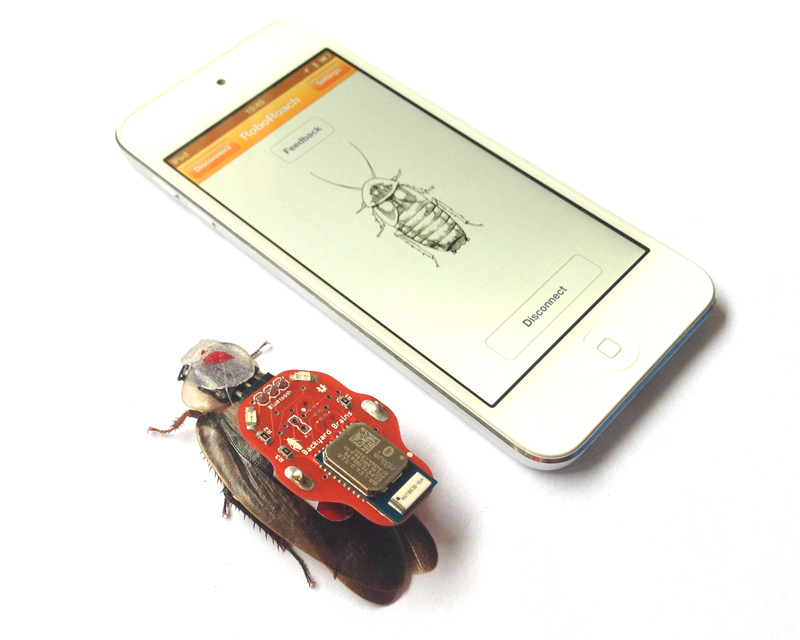 The RoboRoach iPod