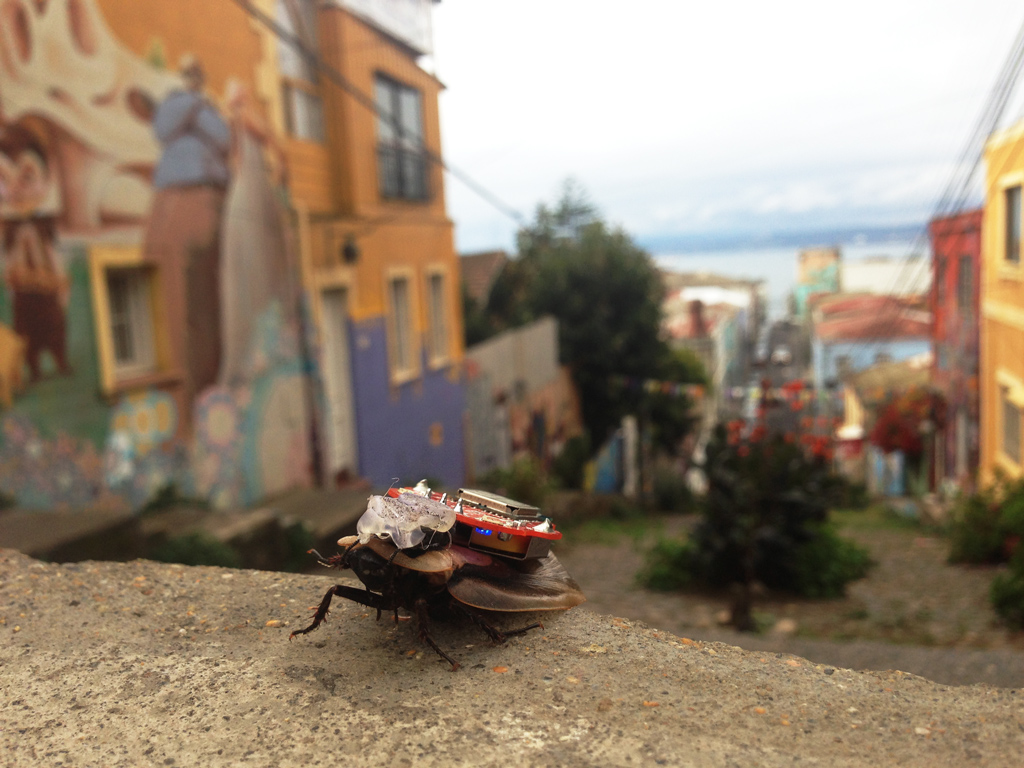 The RoboRoach goes for a stroll in Valparaiso