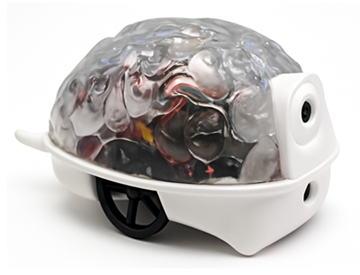 SpikerBot Robot