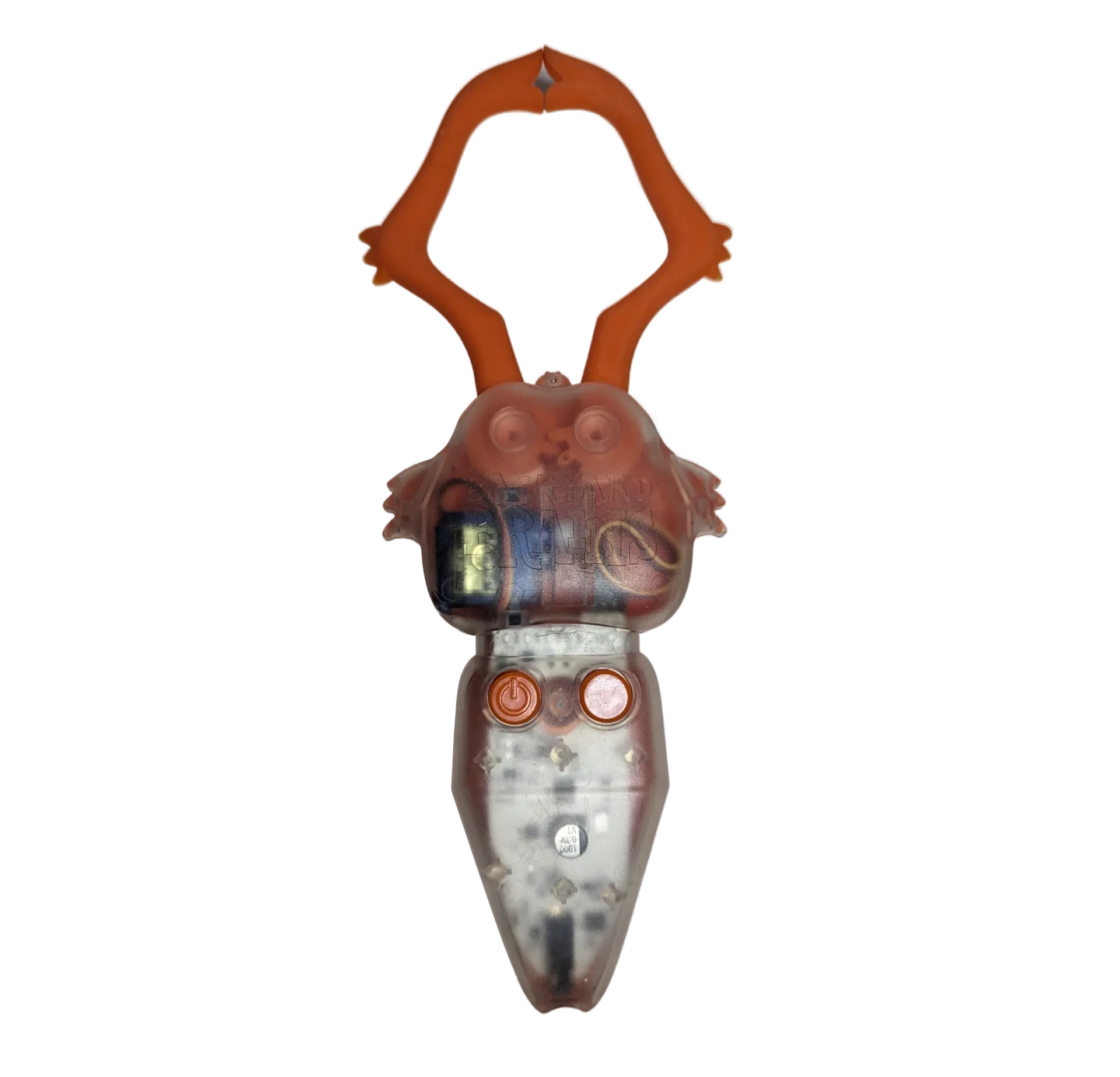 image of claw